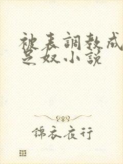 被表调教成她的足奴小说