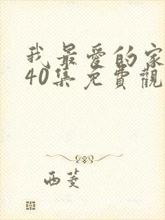 我最爱的家人第40集免费观看