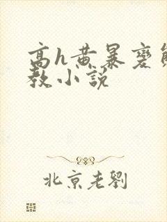 高h黄暴变态调教小说