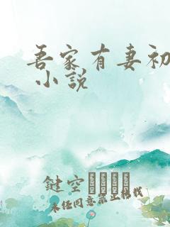 吾家有妻初长成 小说