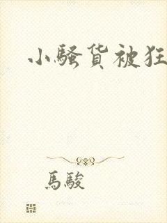 小骚货被狂操
