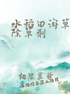 水稻田游草专用除草剂