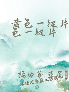 黄色一级片,黄色一级片
