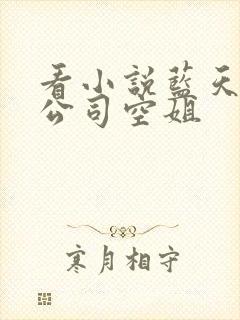 看小说蓝天航空公司空姐