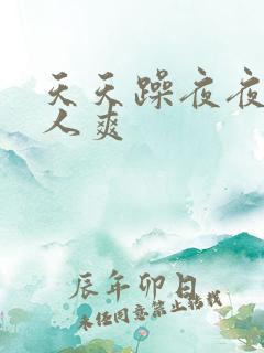 天天躁夜夜躁人人爽