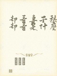 却看妻子愁何在却看是什么意思