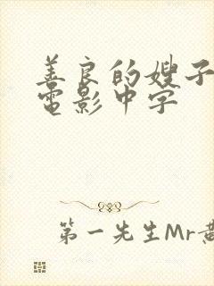 善良的嫂子韩国电影中字