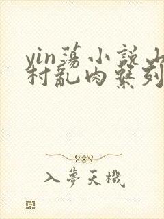 yin荡小说山村乱肉系列小说