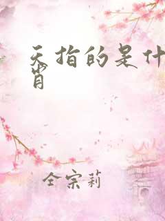 天指的是什么生肖