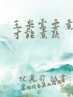 玉米需要煮多久才能煮熟