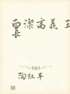 白洁高义 王局长