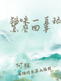 猫咪一直舔毛是怎么回事