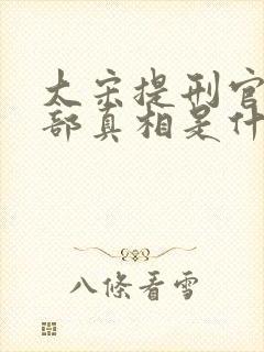 大宋提刑官第二部真相是什么