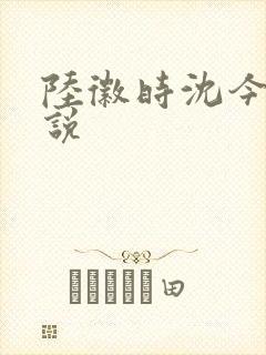 陆徽时沈今懿小说