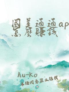 国美通通app怎么赚钱