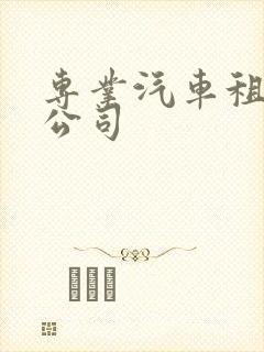 专业汽车租赁 公司