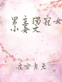 男主独宠女主的小妾文