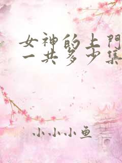 女神的上门贵婿一共多少集
