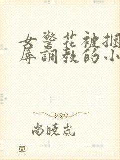 女警花被捆绑屈辱调教的小说