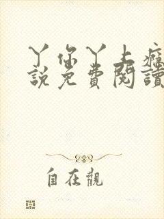 丫你丫上瘾了小说免费阅读