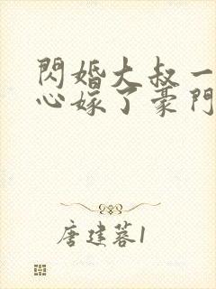 闪婚大叔一不小心嫁了豪门