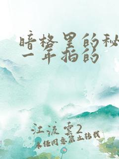 暗格里的秘密哪一年拍的