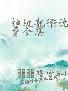 神级龙卫沈浪免费全集
