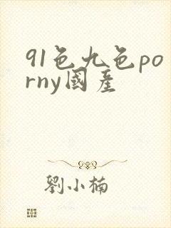 91色九色porny国产