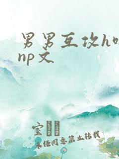 男男互攻h啪肉np文