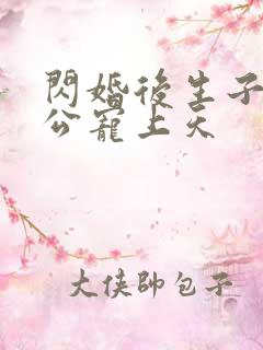 闪婚后生子被老公宠上天