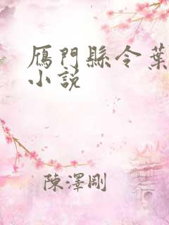 雁门县令叶青的小说