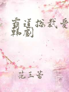 霸道总裁爱上我韩剧