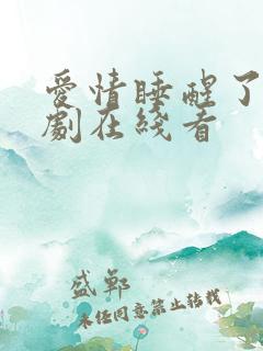 爱情睡醒了电视剧在线看