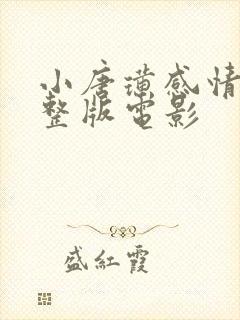 小唐璜感情史完整版电影