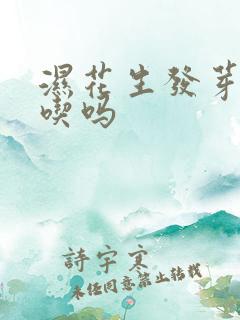 湿花生发芽还能吃吗