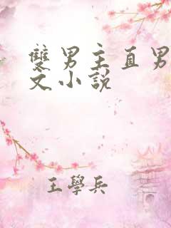 双男主直男变弯文小说