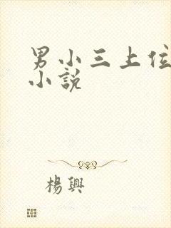 男小三上位记 小说