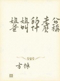 姐姐的老公的爸爸叫什么称呼