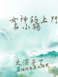 女神的上门豪婿 韦小鸨