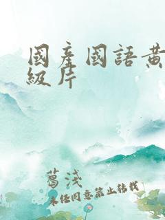 国产国语黄色一级片
