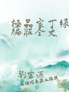 极品家丁绿帽改编版全文