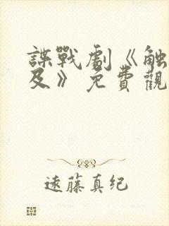 谍战剧《触不可及》免费观看全集