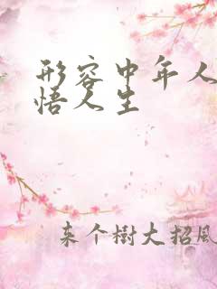 形容中年人的感悟人生