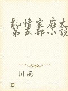 乱情家庭大杂烩第五部小说