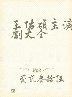 王佑硕主演电视剧大全