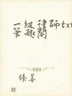 一级律师txt笔趣阁