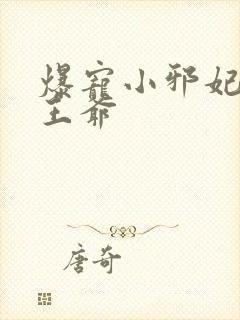 爆宠小邪妃纯禽王爷