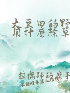 大豆田的野绿豆用什么除草剂