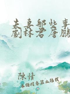 夫妻那些事电视剧林君唐鹏