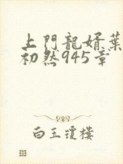 上门龙婿叶辰萧初然945章